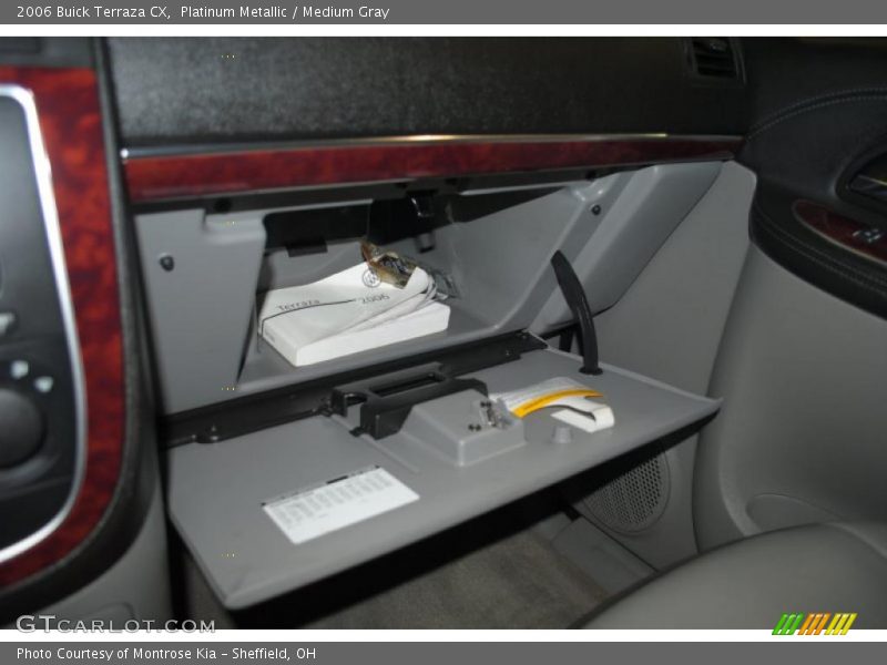 Platinum Metallic / Medium Gray 2006 Buick Terraza CX