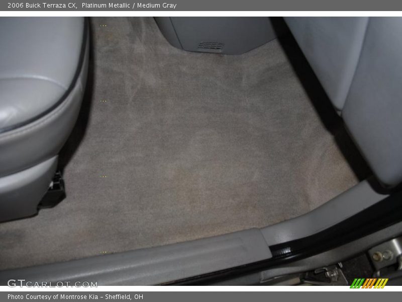 Platinum Metallic / Medium Gray 2006 Buick Terraza CX