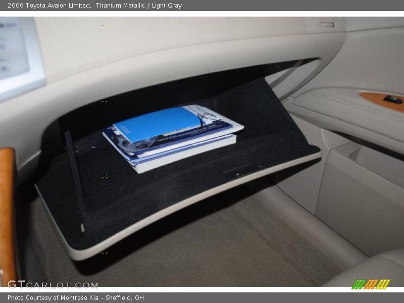 Titanium Metallic / Light Gray 2006 Toyota Avalon Limited