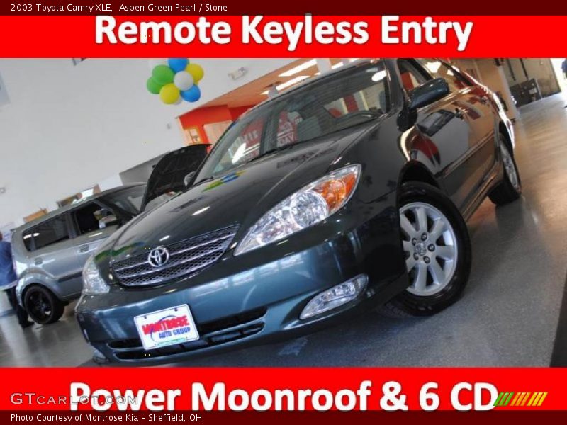 Aspen Green Pearl / Stone 2003 Toyota Camry XLE