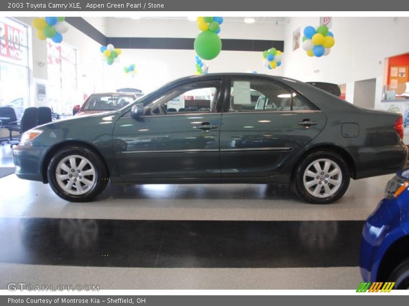 Aspen Green Pearl / Stone 2003 Toyota Camry XLE