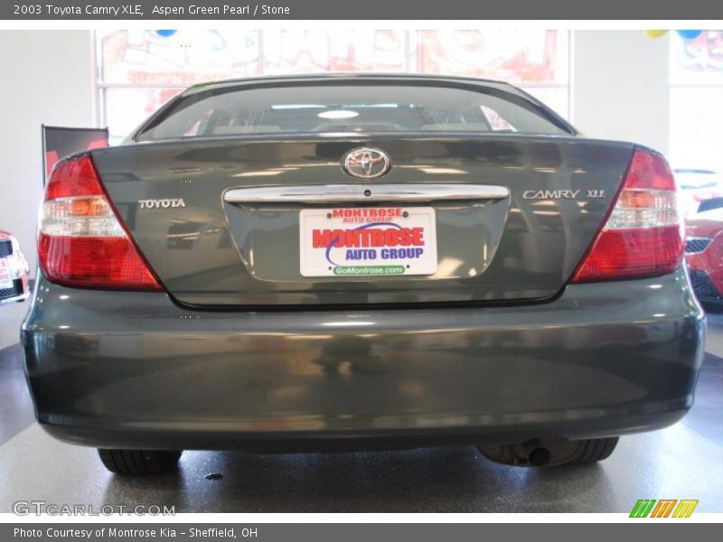 Aspen Green Pearl / Stone 2003 Toyota Camry XLE