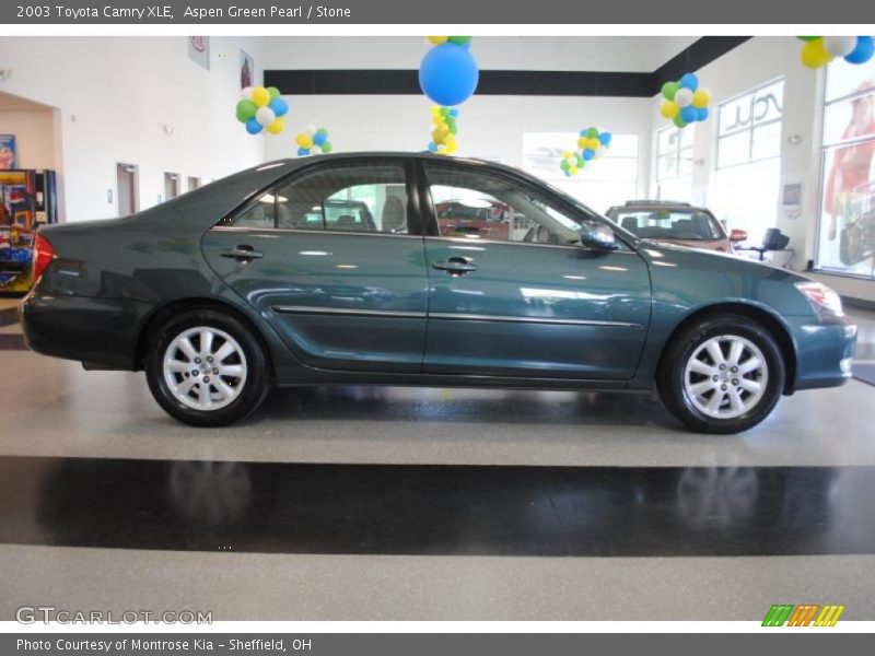 Aspen Green Pearl / Stone 2003 Toyota Camry XLE