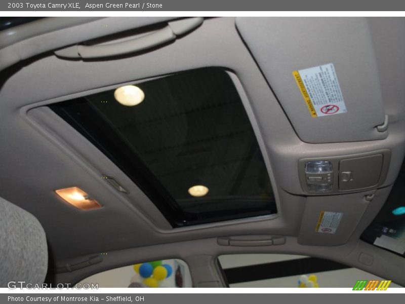Aspen Green Pearl / Stone 2003 Toyota Camry XLE