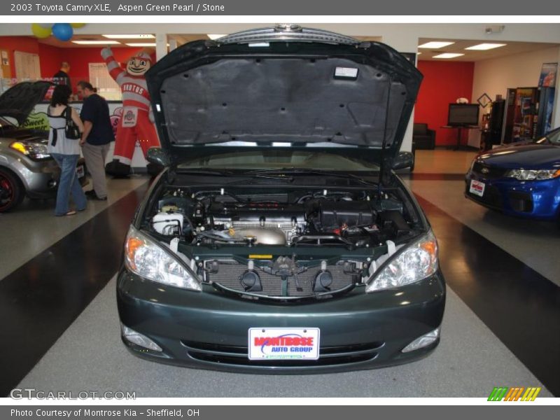 Aspen Green Pearl / Stone 2003 Toyota Camry XLE