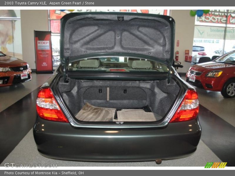 Aspen Green Pearl / Stone 2003 Toyota Camry XLE