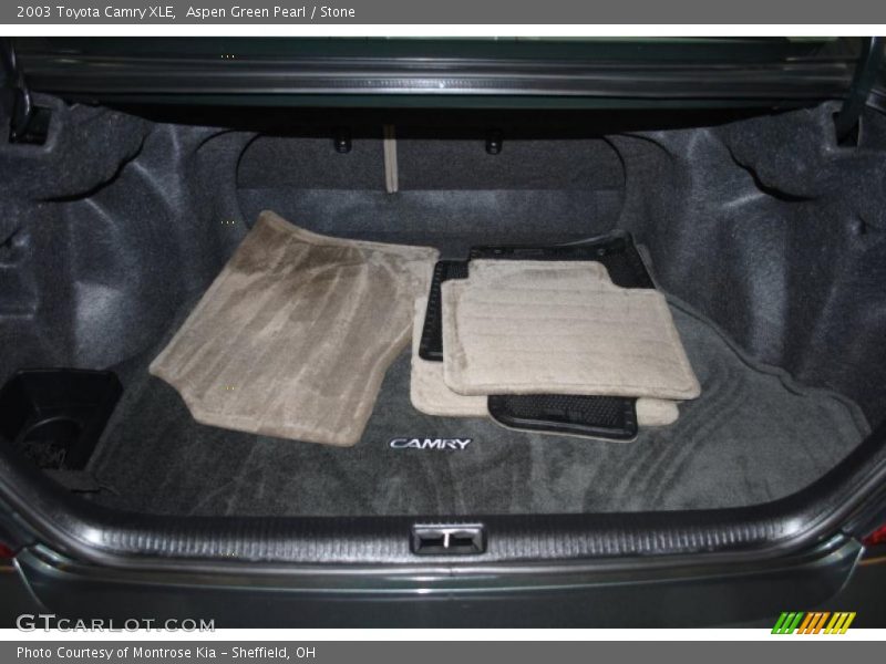 Aspen Green Pearl / Stone 2003 Toyota Camry XLE