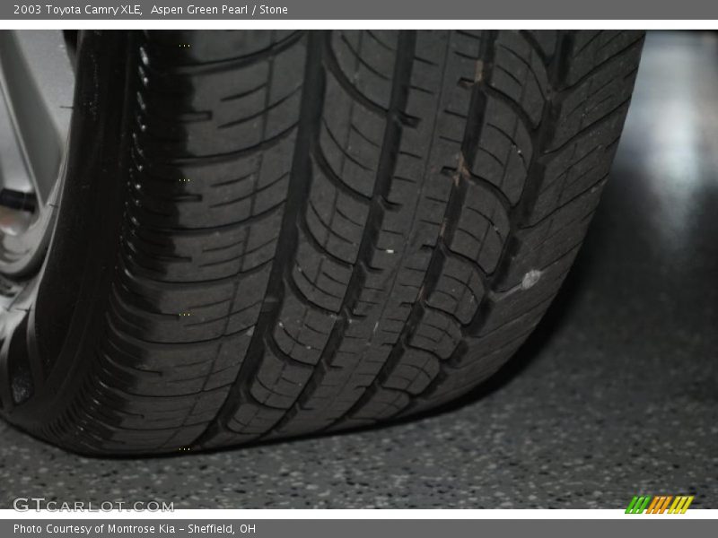 Aspen Green Pearl / Stone 2003 Toyota Camry XLE