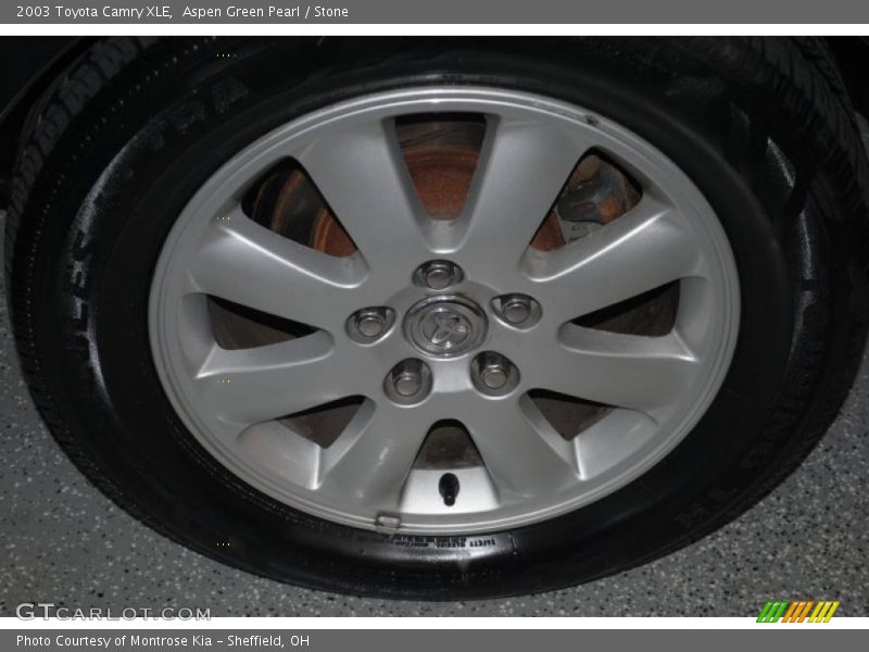 Aspen Green Pearl / Stone 2003 Toyota Camry XLE