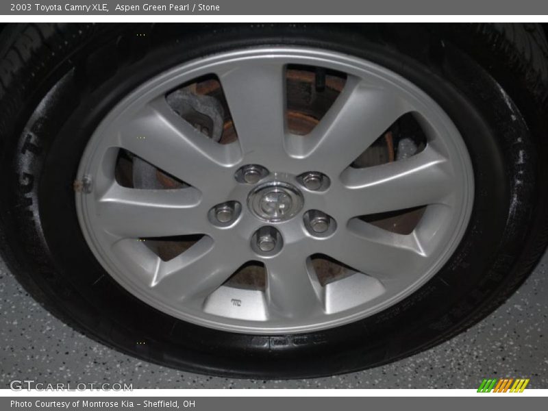 Aspen Green Pearl / Stone 2003 Toyota Camry XLE