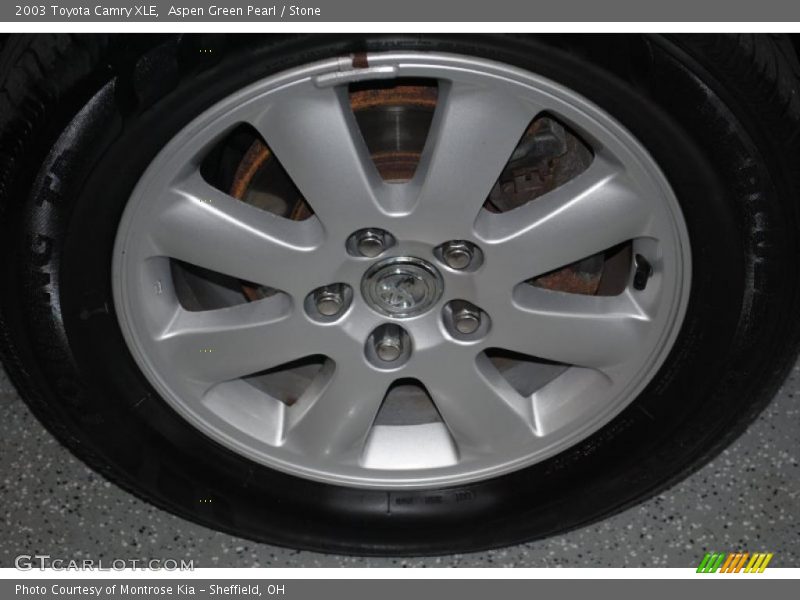 Aspen Green Pearl / Stone 2003 Toyota Camry XLE