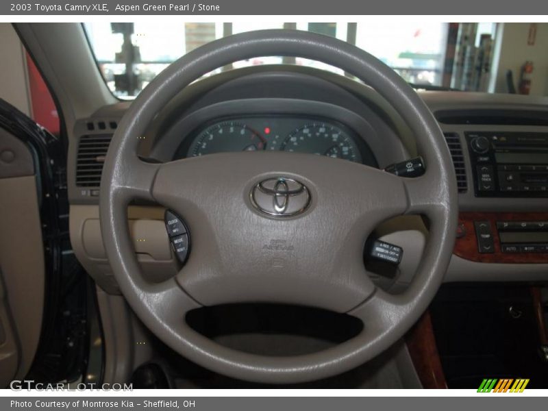 Aspen Green Pearl / Stone 2003 Toyota Camry XLE