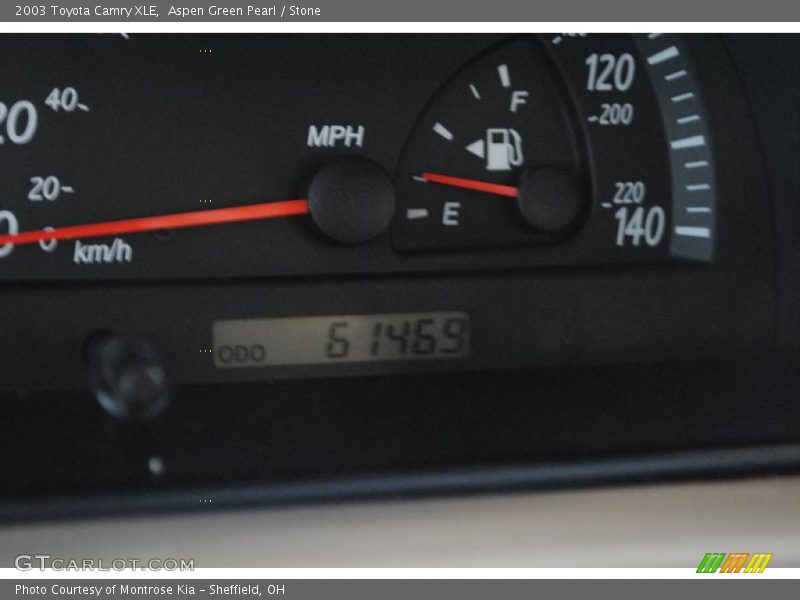 Aspen Green Pearl / Stone 2003 Toyota Camry XLE