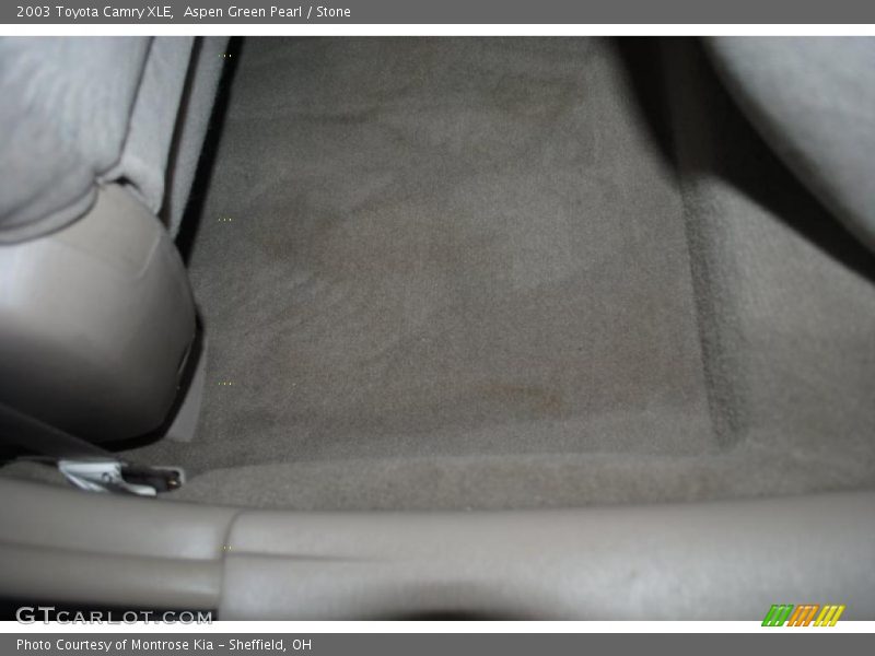 Aspen Green Pearl / Stone 2003 Toyota Camry XLE