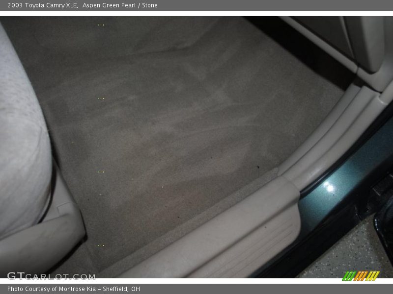 Aspen Green Pearl / Stone 2003 Toyota Camry XLE