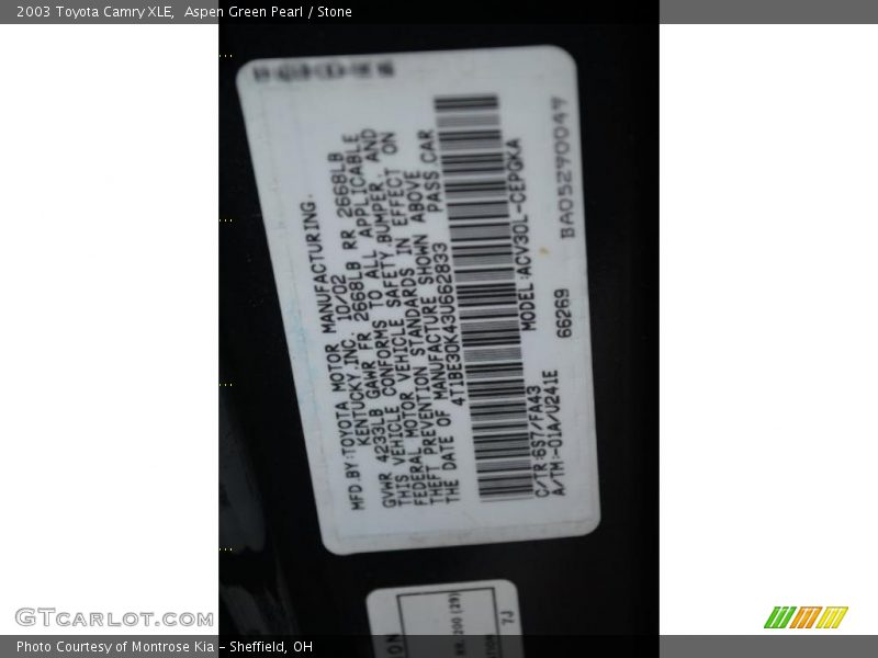 Aspen Green Pearl / Stone 2003 Toyota Camry XLE