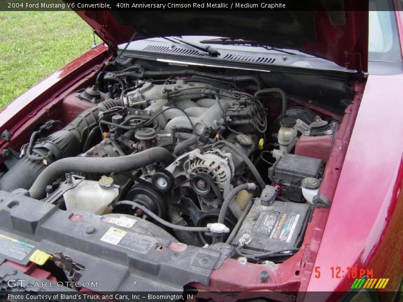 40th Anniversary Crimson Red Metallic / Medium Graphite 2004 Ford Mustang V6 Convertible