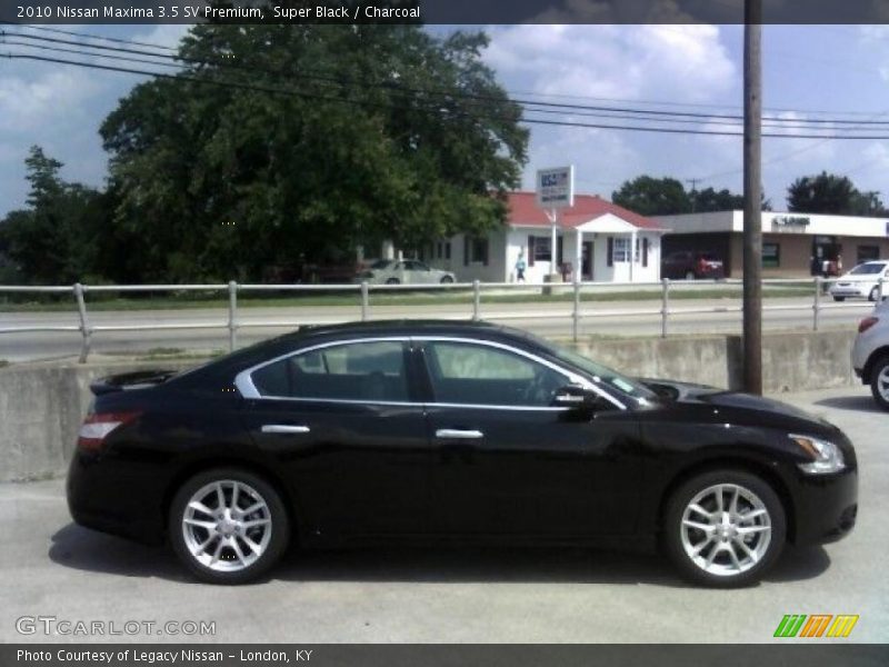 Super Black / Charcoal 2010 Nissan Maxima 3.5 SV Premium