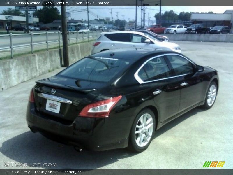 Super Black / Charcoal 2010 Nissan Maxima 3.5 SV Premium