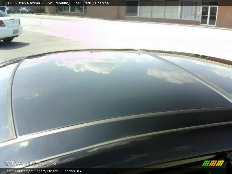 Super Black / Charcoal 2010 Nissan Maxima 3.5 SV Premium
