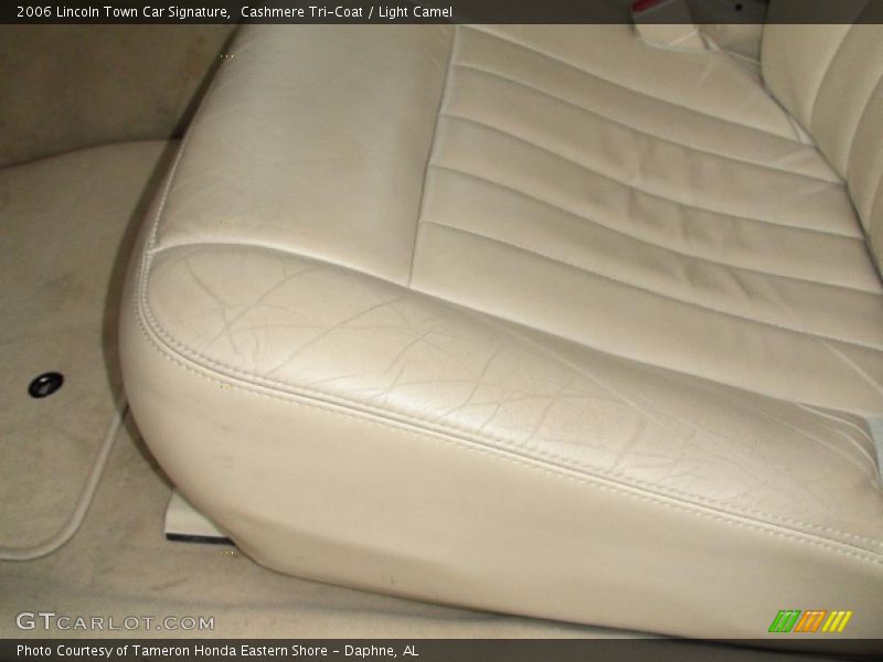 Cashmere Tri-Coat / Light Camel 2006 Lincoln Town Car Signature