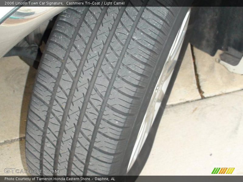 Cashmere Tri-Coat / Light Camel 2006 Lincoln Town Car Signature