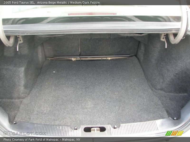 Arizona Beige Metallic / Medium/Dark Pebble 2005 Ford Taurus SEL