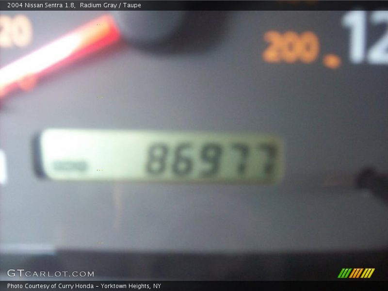 Radium Gray / Taupe 2004 Nissan Sentra 1.8