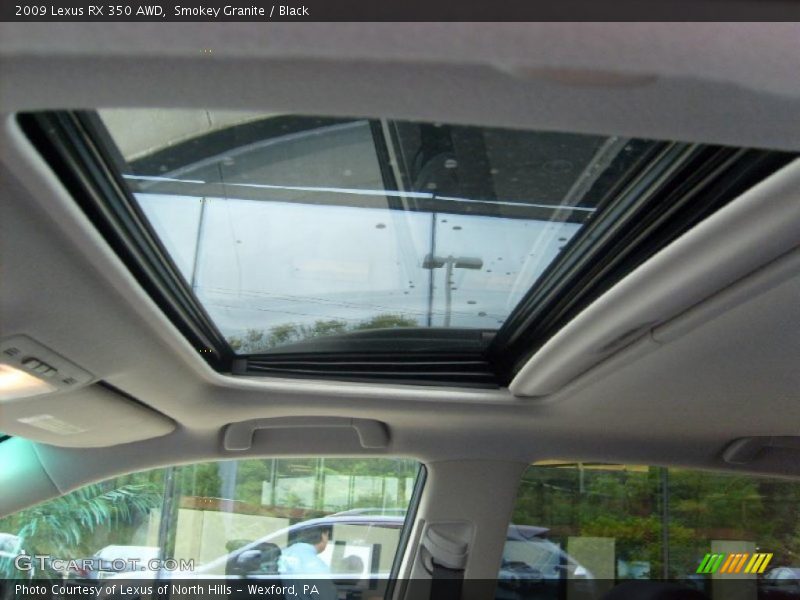 Smokey Granite / Black 2009 Lexus RX 350 AWD