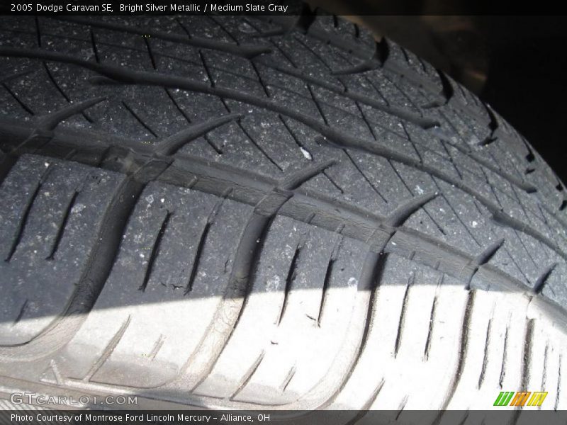 Bright Silver Metallic / Medium Slate Gray 2005 Dodge Caravan SE