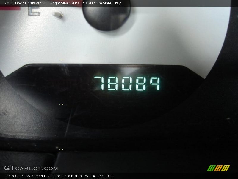Bright Silver Metallic / Medium Slate Gray 2005 Dodge Caravan SE