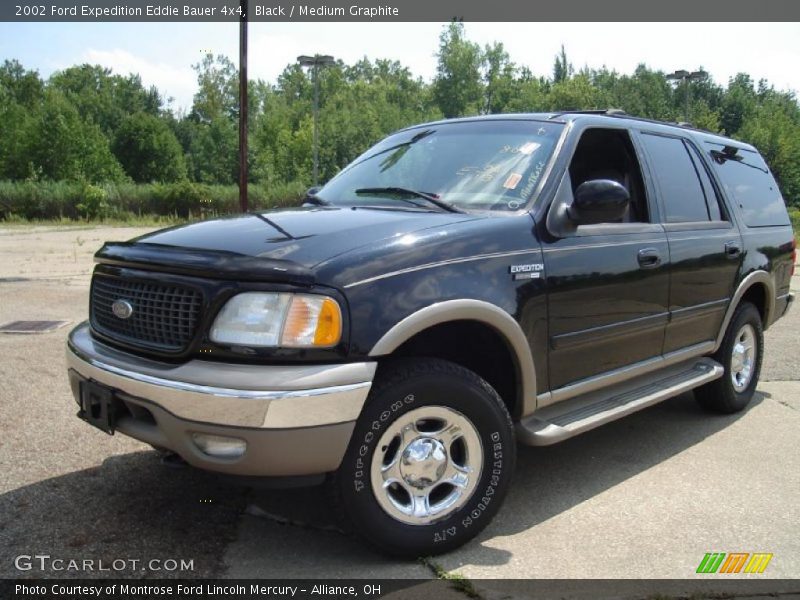Black / Medium Graphite 2002 Ford Expedition Eddie Bauer 4x4