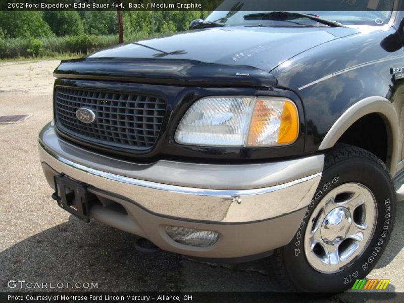 Black / Medium Graphite 2002 Ford Expedition Eddie Bauer 4x4