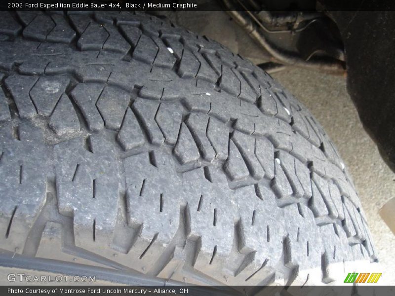 Black / Medium Graphite 2002 Ford Expedition Eddie Bauer 4x4