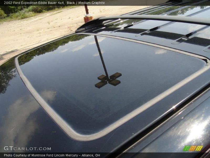 Black / Medium Graphite 2002 Ford Expedition Eddie Bauer 4x4