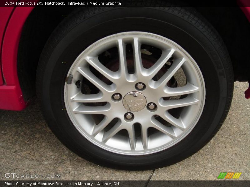 Infra-Red / Medium Graphite 2004 Ford Focus ZX5 Hatchback