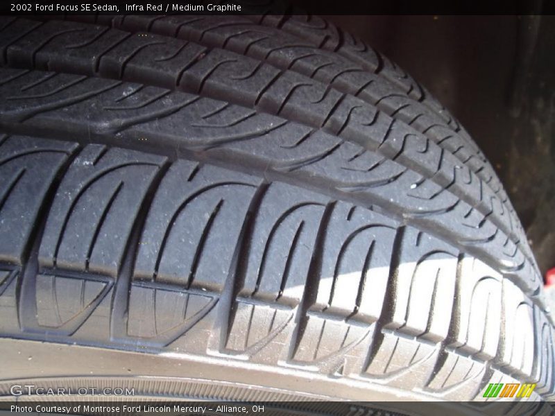 Infra Red / Medium Graphite 2002 Ford Focus SE Sedan