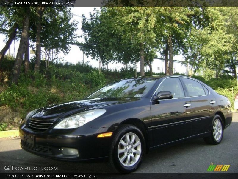 Black Onyx / Ivory 2003 Lexus ES 300