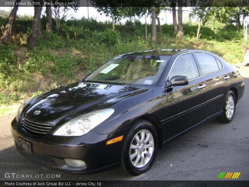 Black Onyx / Ivory 2003 Lexus ES 300