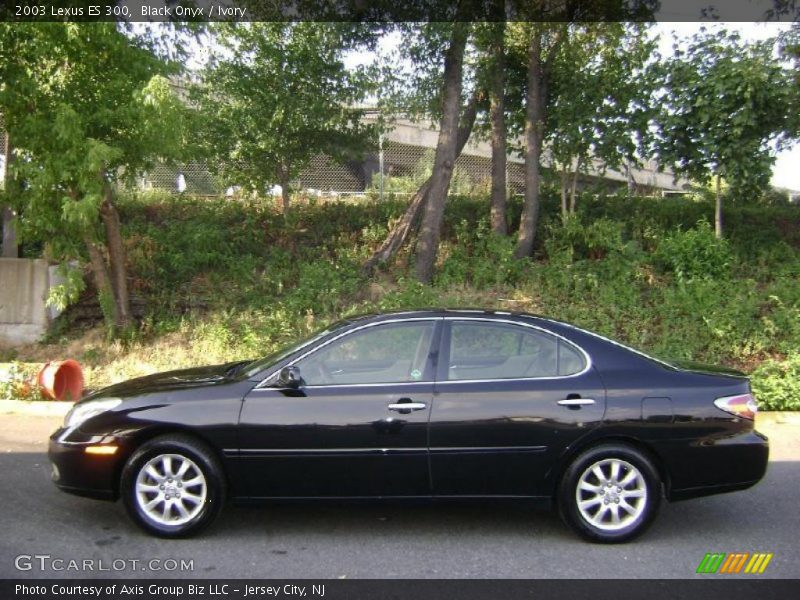 Black Onyx / Ivory 2003 Lexus ES 300
