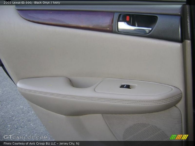 Black Onyx / Ivory 2003 Lexus ES 300