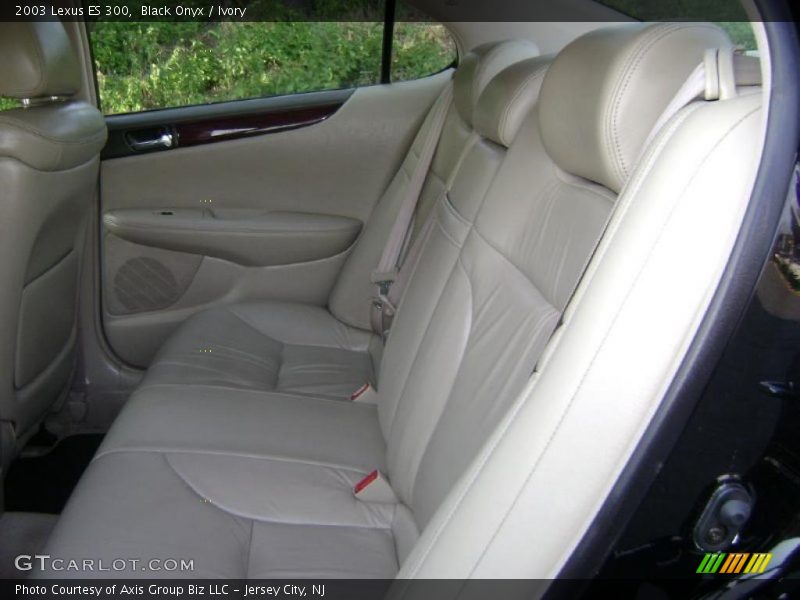 Black Onyx / Ivory 2003 Lexus ES 300
