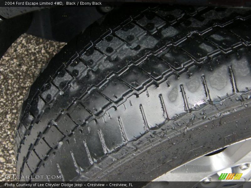 Black / Ebony Black 2004 Ford Escape Limited 4WD
