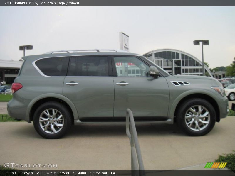Mountain Sage / Wheat 2011 Infiniti QX 56