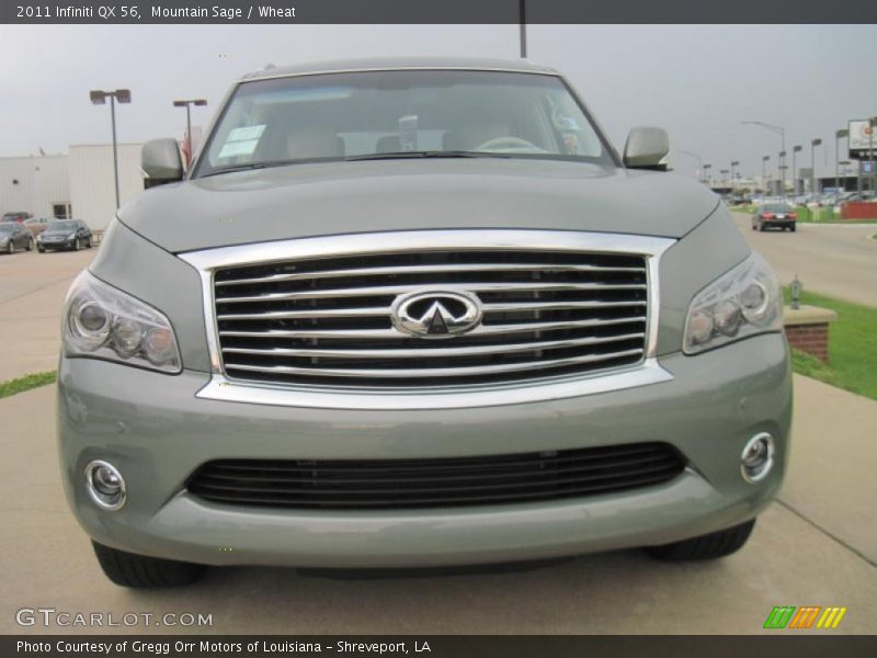 Mountain Sage / Wheat 2011 Infiniti QX 56