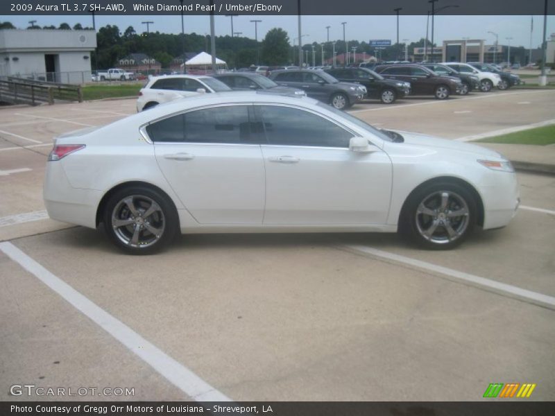 White Diamond Pearl / Umber/Ebony 2009 Acura TL 3.7 SH-AWD