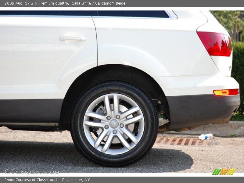 Calla White / Cardamom Beige 2009 Audi Q7 3.6 Premium quattro