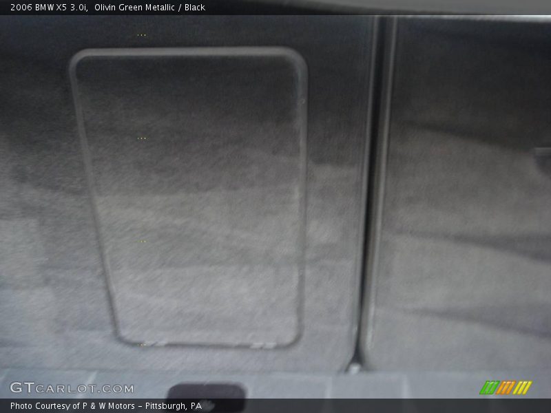 Olivin Green Metallic / Black 2006 BMW X5 3.0i