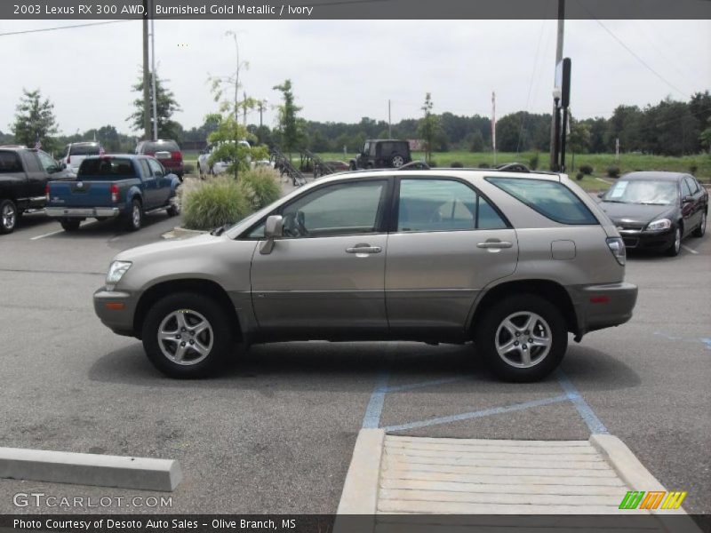 Burnished Gold Metallic / Ivory 2003 Lexus RX 300 AWD