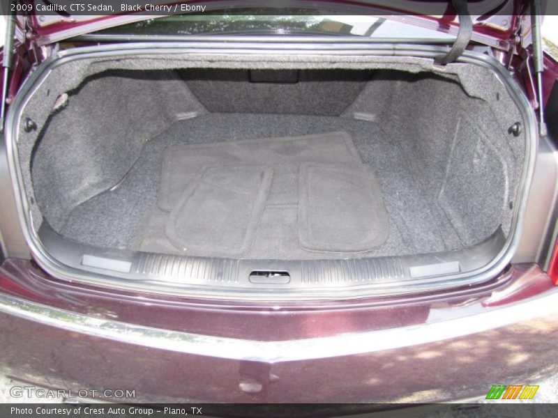 Black Cherry / Ebony 2009 Cadillac CTS Sedan